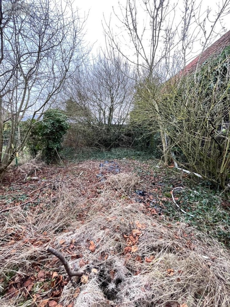 Maison a vendre Bergues 59380 Nord 165 m2 5 pièces 317900 euros