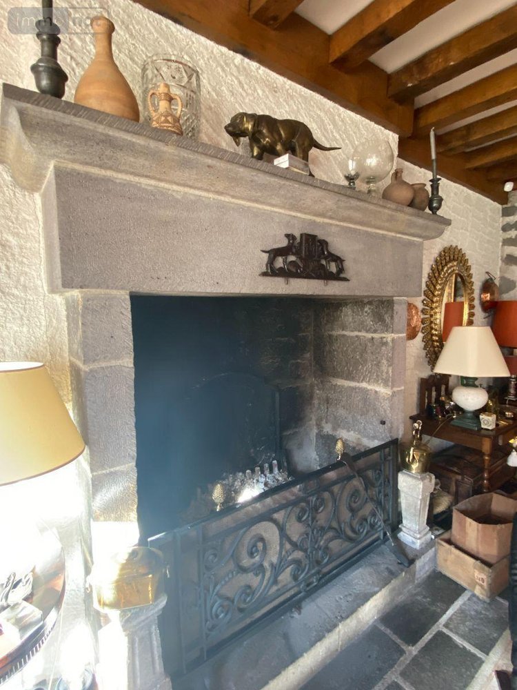Maison a vendre Anglards-de-Salers 15380 Cantal 390 m2  699000 euros
