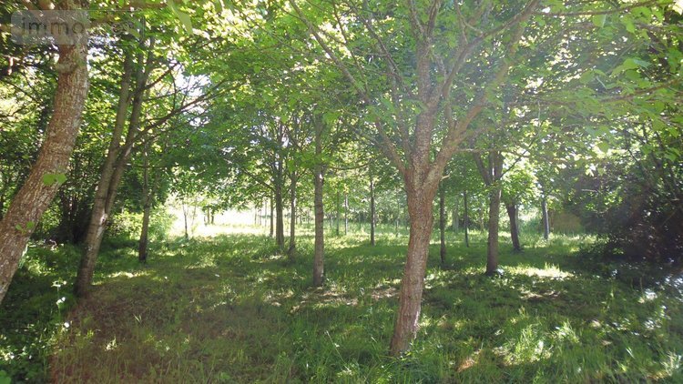 Maison a vendre Le Bourg-d'Hem 23220 Creuse 110 m2 4 pièces 105000 euros