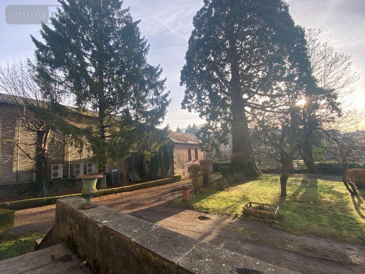 Immeuble a vendre Mauriac 15200 Cantal  328000 euros