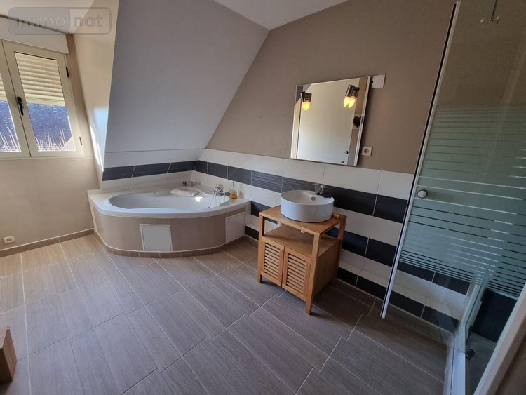Maison a vendre Romorantin-Lanthenay 41200 Loir-et-Cher 216 m2 7 pièces 337280 euros