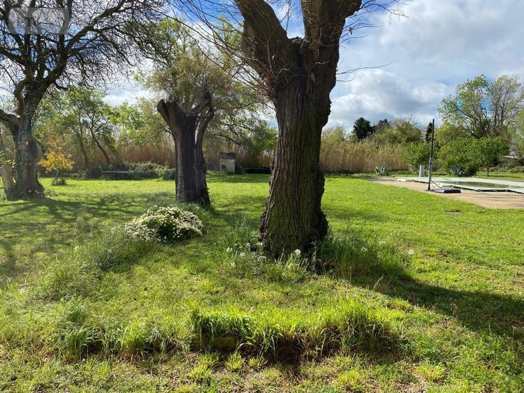 Maison a vendre Arles 13200 Bouches-du-Rhône 332 m2 8 pièces 1150000 euros