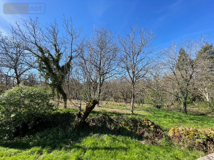 Maison a vendre Sousceyrac-en-Quercy 46190 Lot 80 m2 4 pièces 95400 euros