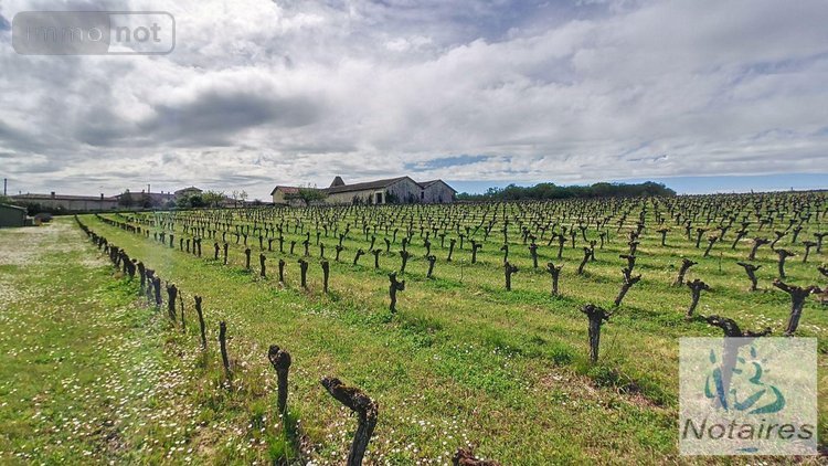 Maison a vendre Camiac-et-Saint-Denis 33420 Gironde 380 m2 20 pièces 545000 euros