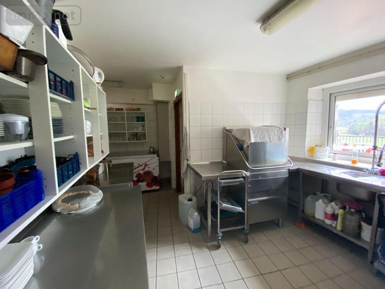 Fonds et murs commerciaux a vendre Le Falgoux 15380 Cantal  660000 euros