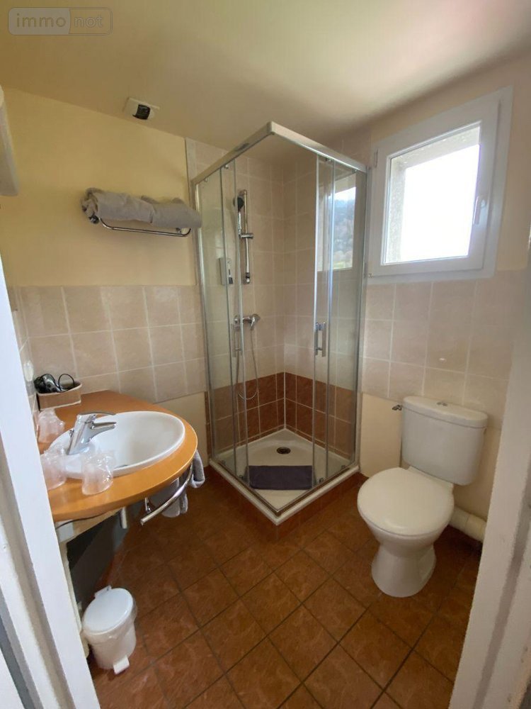 Fonds et murs commerciaux a vendre Le Falgoux 15380 Cantal  660000 euros