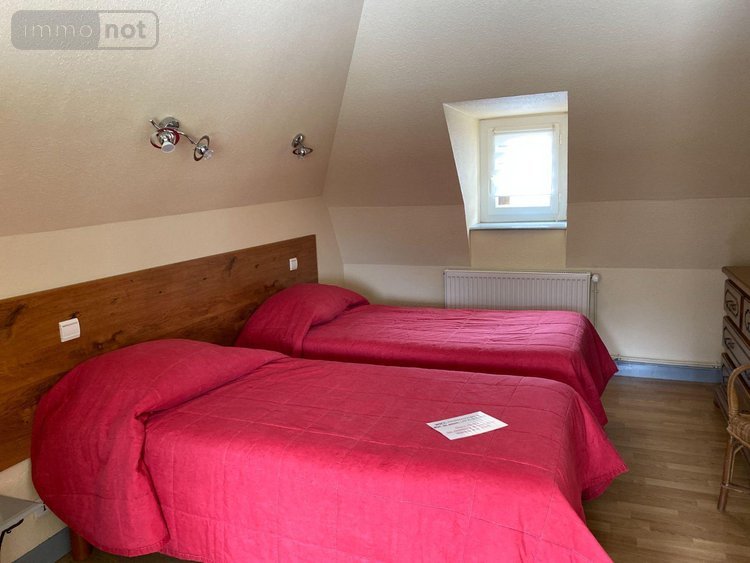 Fonds et murs commerciaux a vendre Le Falgoux 15380 Cantal  660000 euros