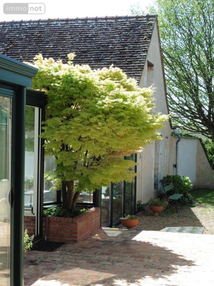 Maison a vendre Lasse 49490 Maine-et-Loire 277 m2 14 pièces 198550 euros