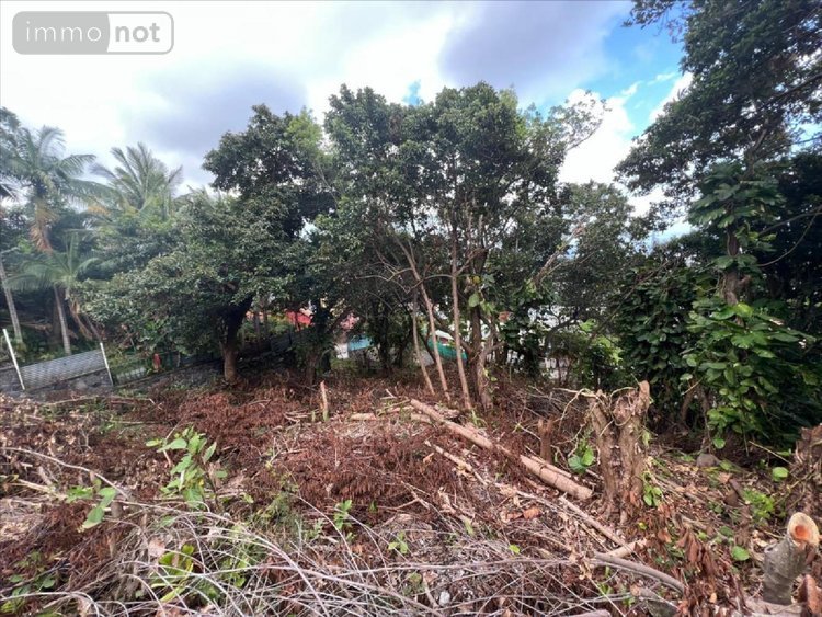 Terrain a batir a vendre Sainte-Clotilde 97490 Réunion 1940 m2  366500 euros