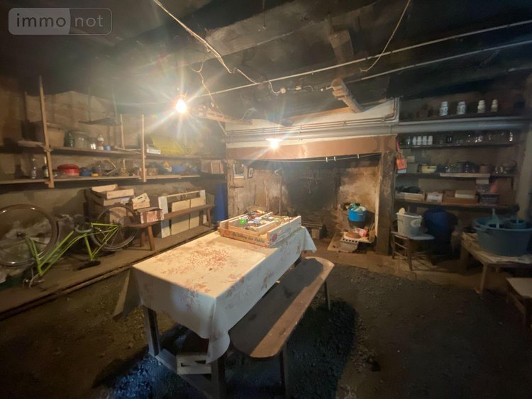 Maison a vendre Pleaux 15700 Cantal 60 m2  68900 euros