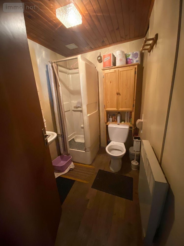 Maison a vendre Pleaux 15700 Cantal 60 m2  68900 euros