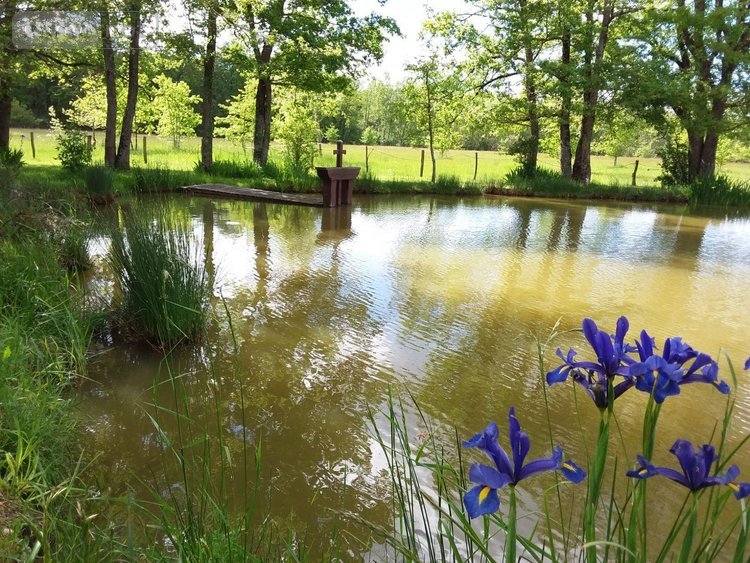 Maison a vendre Chémery 41700 Loir-et-Cher 206 m2 6 pièces 430600 euros