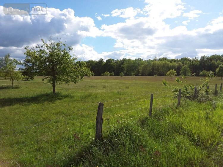 Maison a vendre Chémery 41700 Loir-et-Cher 206 m2 6 pièces 430600 euros