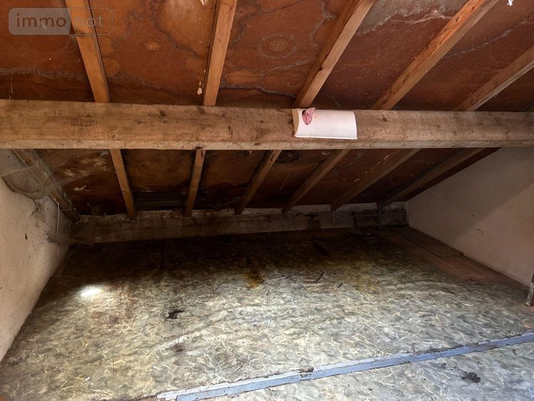 Immeuble a vendre Condat 15190 Cantal 344 m2  28000 euros