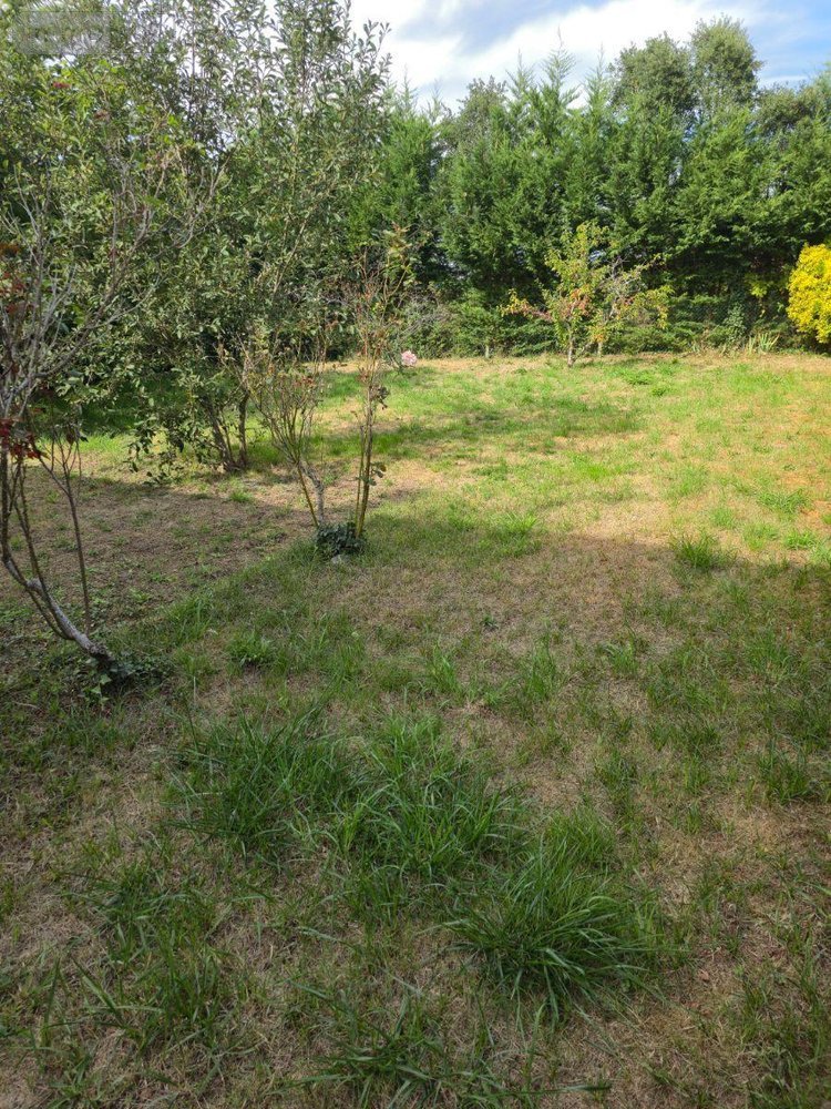 Maison a vendre Verneuil-sur-Vienne 87430 Haute-Vienne 108 m2 5 pièces 137800 euros