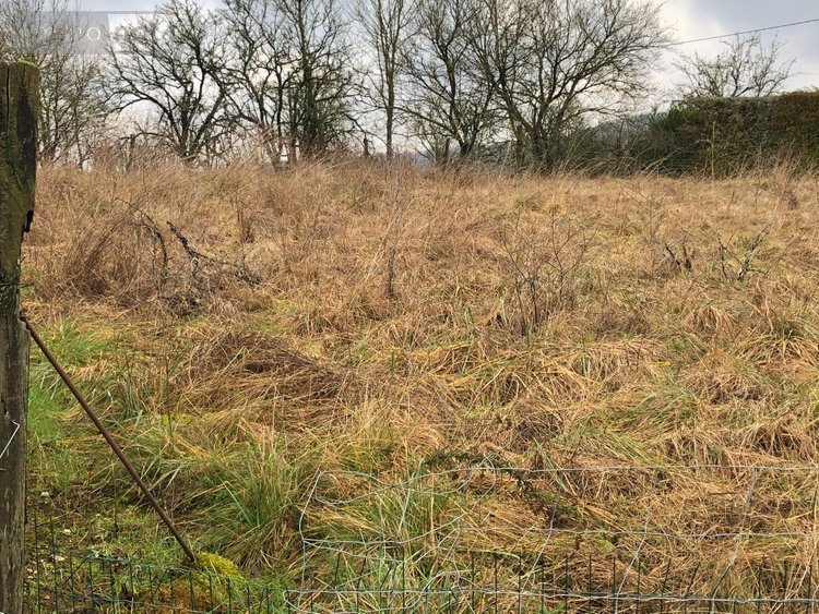 Terrain a batir a vendre Silmont 55000 Meuse 840 m2  15000 euros