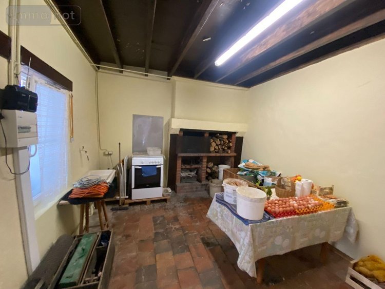 Viager maison Mayet 72360 Sarthe 160 m2 5 pièces 26000 euros