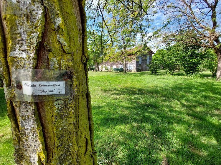 Maison a vendre Saint-Antoine-de-Breuilh 24230 Dordogne 180 m2 8 pièces 333100 euros