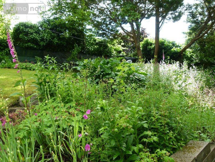 Maison a vendre Chéniers 23220 Creuse 103 m2 5 pièces 100000 euros