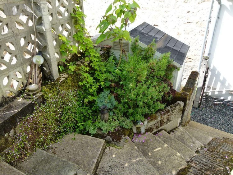 Maison a vendre Chéniers 23220 Creuse 103 m2 5 pièces 98000 euros