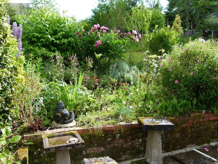 Maison a vendre Chéniers 23220 Creuse 103 m2 5 pièces 98000 euros