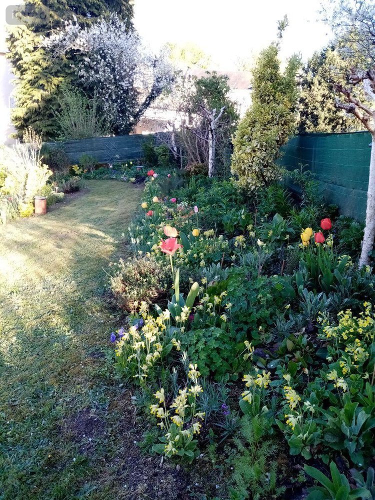 Maison a vendre Chéniers 23220 Creuse 103 m2 5 pièces 98000 euros