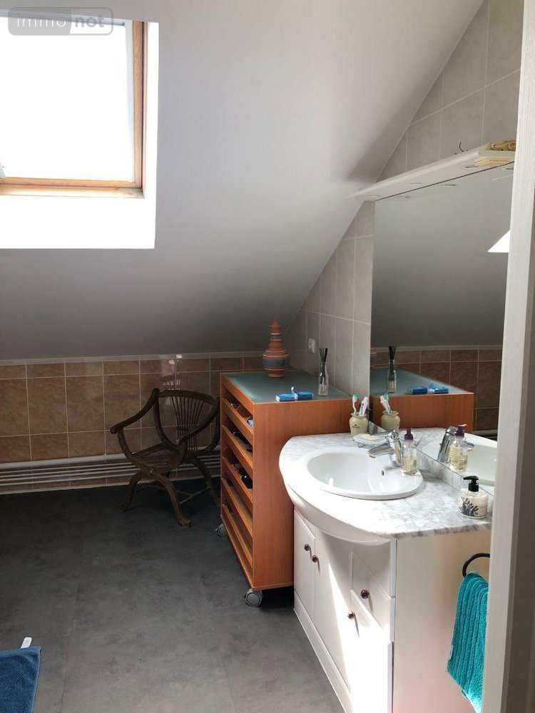 Maison a vendre Issoudun 36100 Indre 260 m2  293440 euros