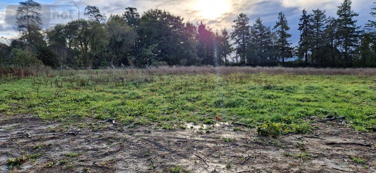 Terrain a batir a vendre Ploërmel 56800 Morbihan 427 m2  63000 euros