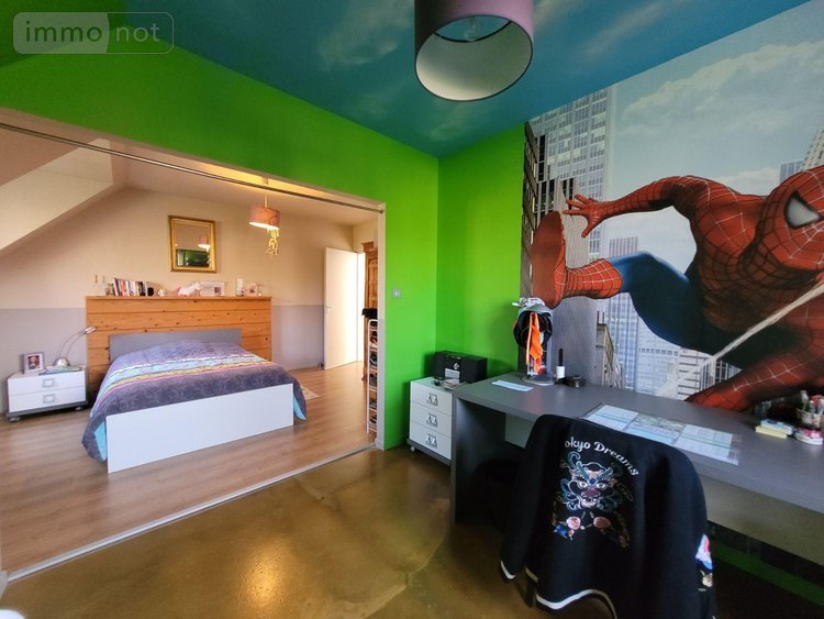 Maison a vendre Coudekerque Village 59380 Nord 428 m2 12 pièces 824720 euros