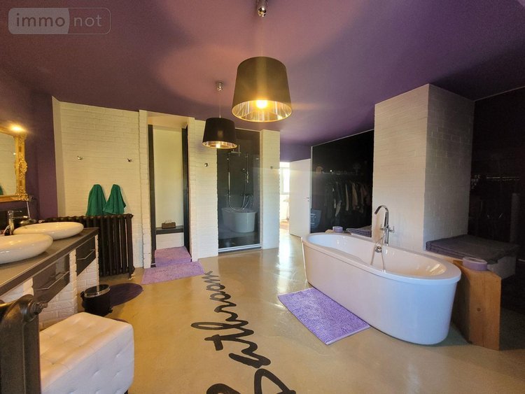 Maison a vendre Coudekerque Village 59380 Nord 428 m2 12 pièces 824720 euros