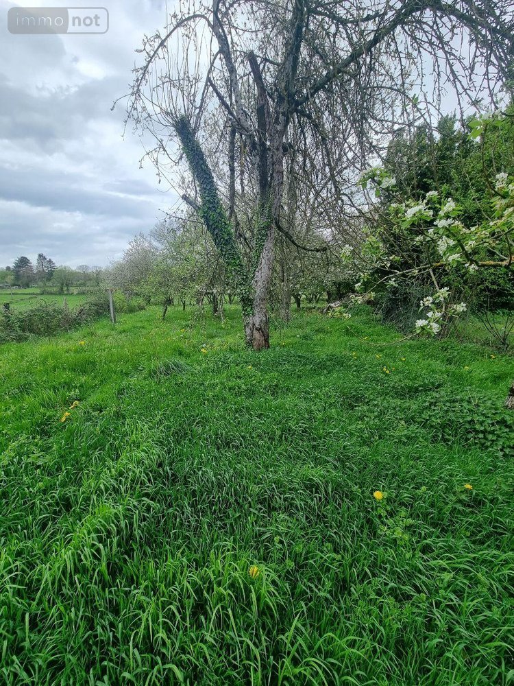 Maison a vendre La Buxerette 36140 Indre 106 m2 5 pièces 74000 euros