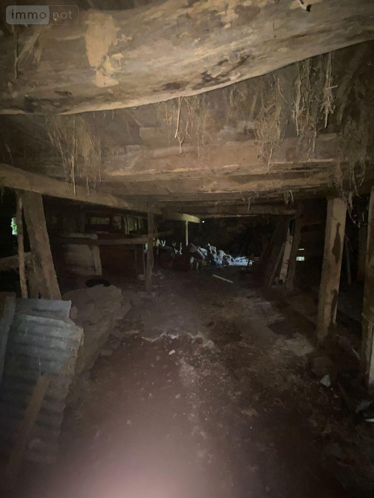 Maison a vendre Le Vigean 15200 Cantal 200 m2  26500 euros