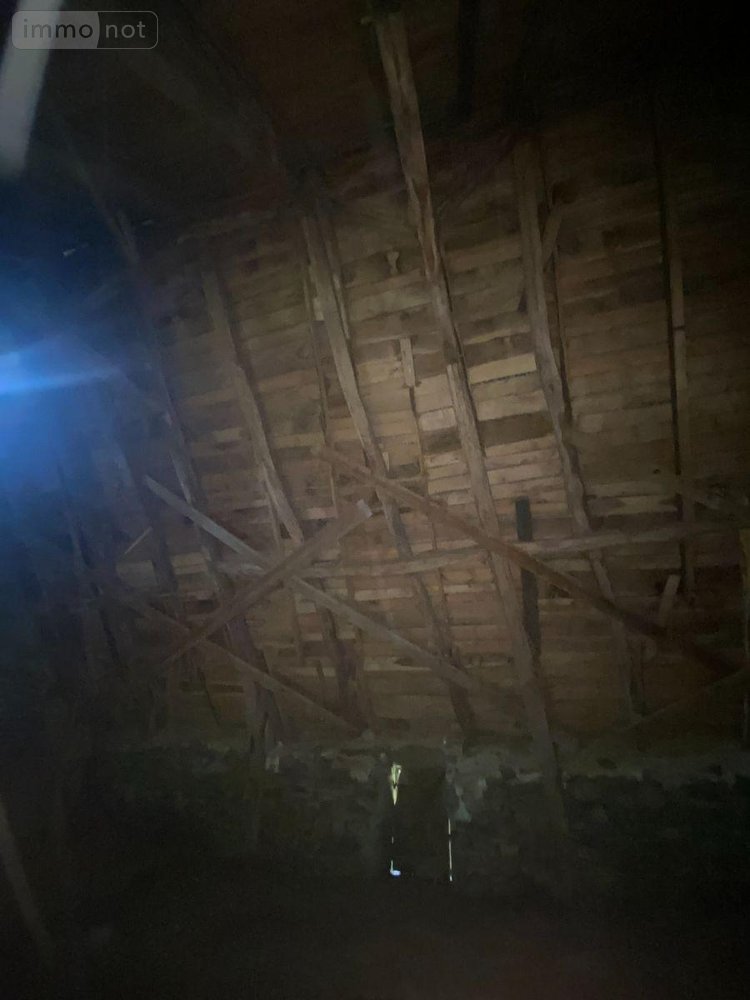 Maison a vendre Le Vigean 15200 Cantal 200 m2  26500 euros