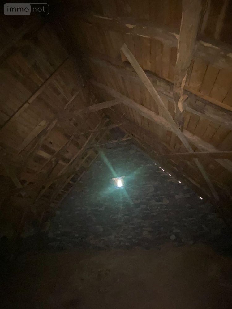 Maison a vendre Le Vigean 15200 Cantal 200 m2  26500 euros