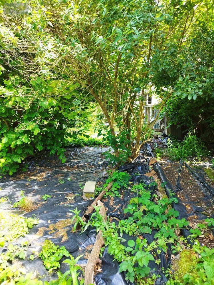 Maison a vendre Buais-les-Monts 50640 Manche 85 m2 4 pièces 40000 euros