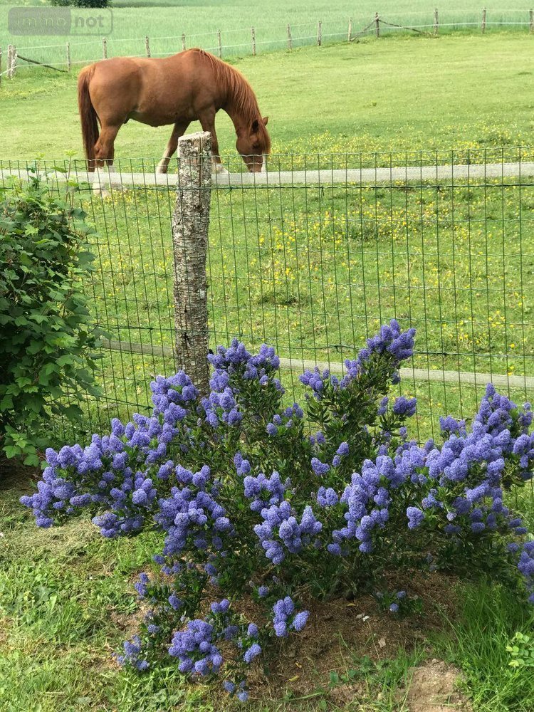 Maison a vendre Sarcé 72360 Sarthe 128 m2 6 pièces 282960 euros