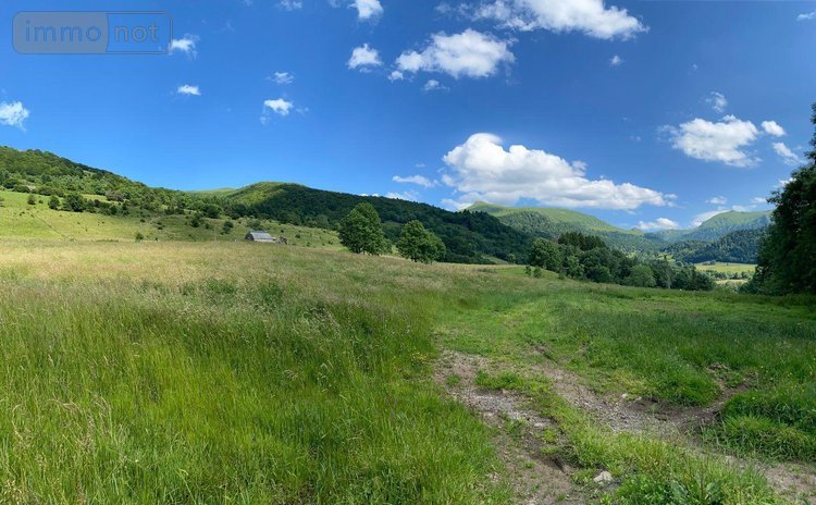 Maison a vendre Le Falgoux 15380 Cantal 400 m2  63600 euros