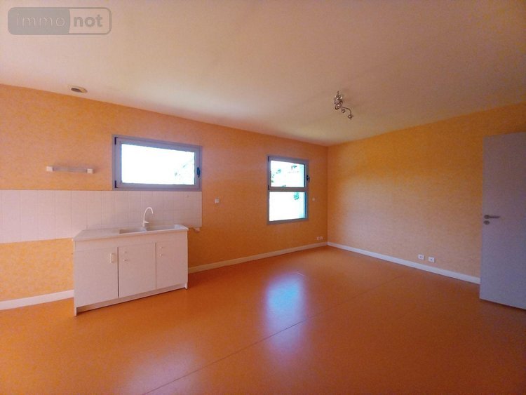 Immeuble a vendre Allanche 15160 Cantal 219 m2  185000 euros