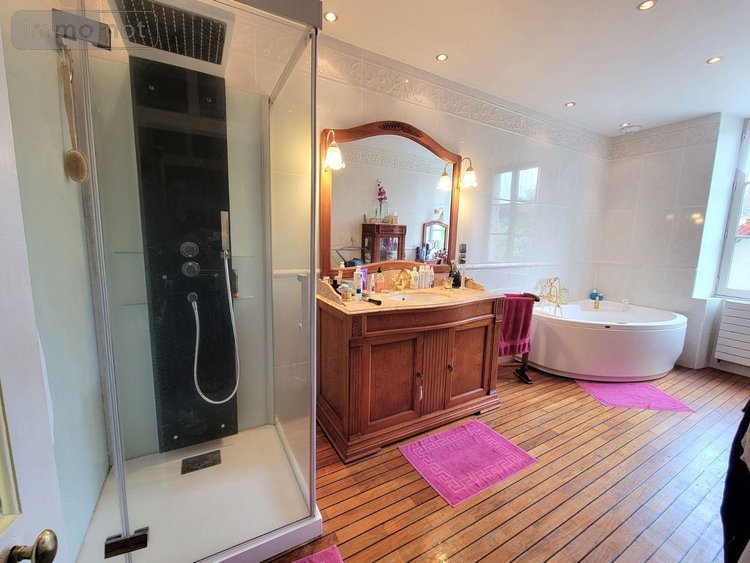 Maison a vendre Cloyes-les-Trois-Rivières 28220 Eure-et-Loir 249 m2 8 pièces 506000 euros