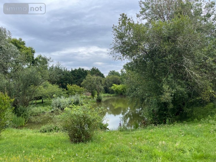 Maison a vendre Pugnac 33710 Gironde 218 m2 7 pièces 436800 euros