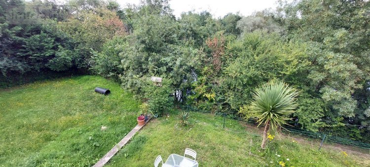 Location maison Chalonnes-sur-Loire 49290 Maine-et-Loire 51 m2 3 pièces 575 euros