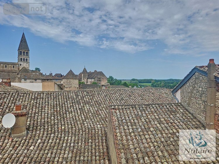 Location appartement Tournus 71700 Saône-et-Loire 79 m2 3 pièces 713 euros