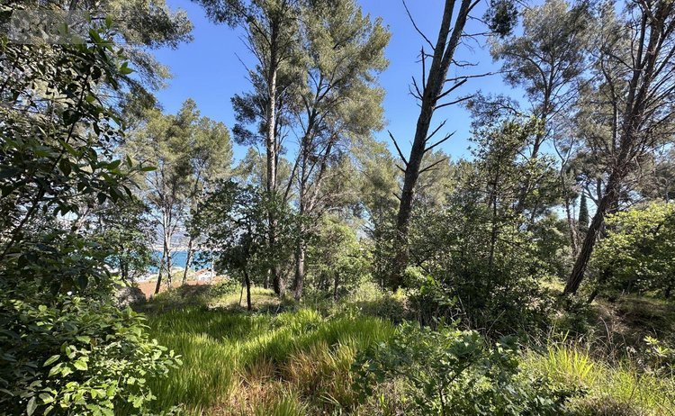 Maison a vendre La Seyne-sur-Mer 83500 Var 137 m2 5 pièces 790000 euros