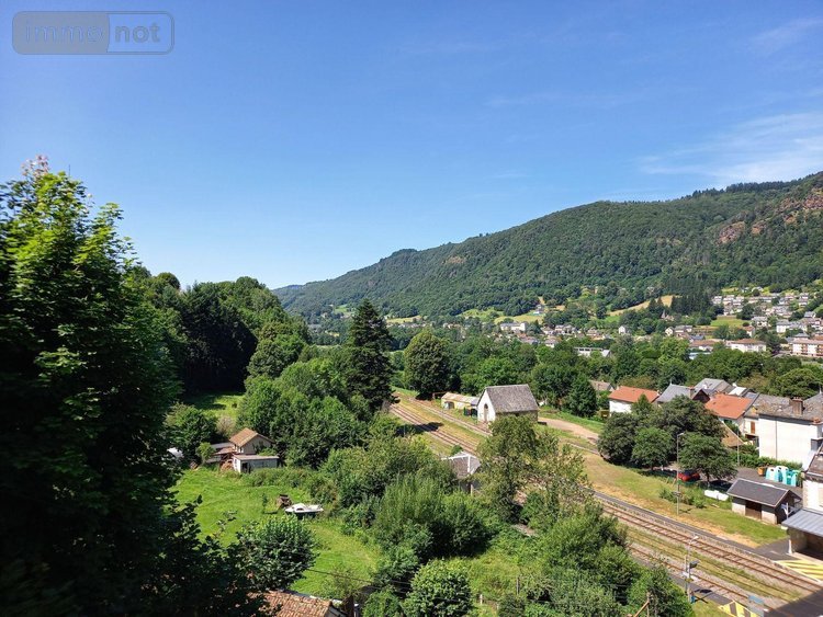 Maison a vendre Vic-sur-Cère 15800 Cantal 216 m2 7 pièces 28000 euros