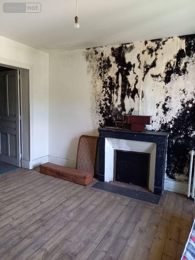 Maison a vendre Vic-sur-Cère 15800 Cantal 216 m2 7 pièces 28000 euros