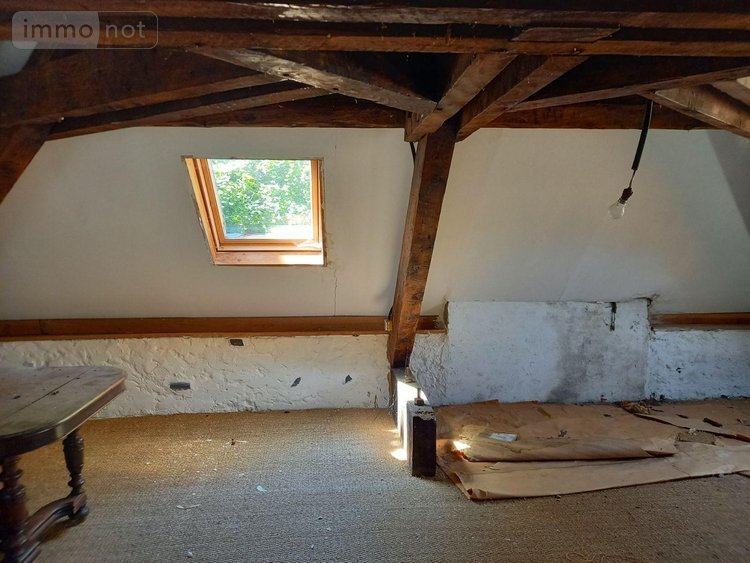 Maison a vendre Vic-sur-Cère 15800 Cantal 216 m2 7 pièces 28000 euros