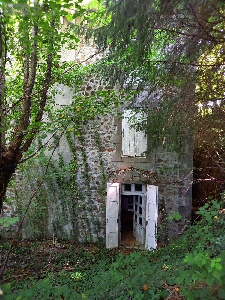 Maison a vendre Vic-sur-Cère 15800 Cantal 216 m2 7 pièces 28000 euros