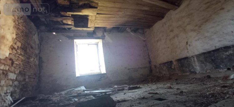 Maison a vendre Rochetaillée 52210 Haute-Marne 300 m2 1 pièce 35000 euros