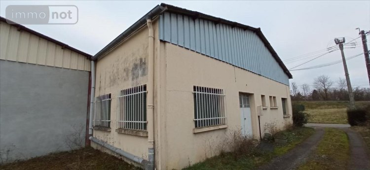 Fonds et murs commerciaux a vendre Rolampont 52260 Haute-Marne 580 m2  293600 euros