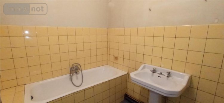 Maison a vendre Saint-Broingt-le-Bois 52190 Haute-Marne 242 m2 11 pièces 60000 euros